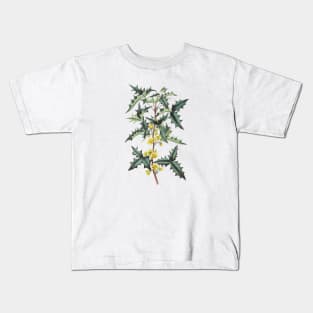 Holly Plant Vintage Botanical Illustration Kids T-Shirt